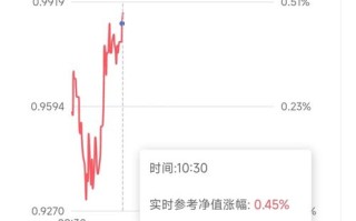005304基金净值今日是多少？