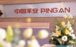 平安投连险收益与风险如何平衡？