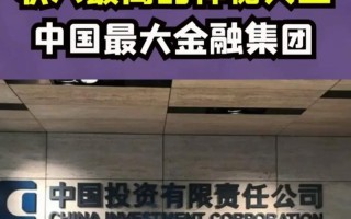 中国投资责任有限公司的定位与职责是什么？