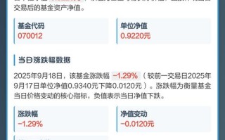 嘉实海外基金今天为何近值？