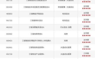 工银新材料新能源基金，投资价值如何？