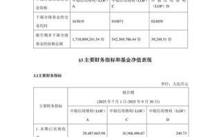 2025年证券投资基金PDF有何新变化？