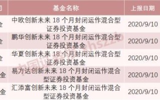 蚂蚁金服5只配售基金怎么选？