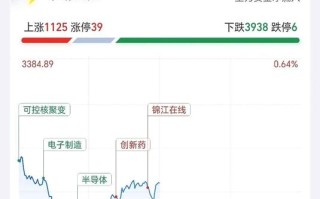 基金今日为何暂停开盘？