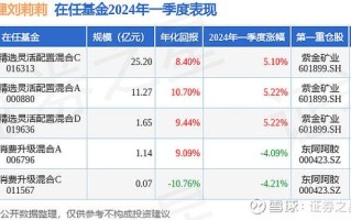 富国研究精选基金业绩如何？