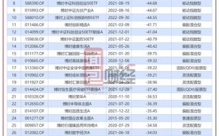 博时精选股票基金，收益如何？风险几何？