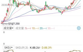 新加坡铁矿石期货指数有何独特投资价值？