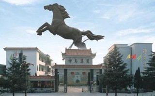 上海神马投资有限公司