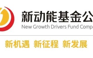 新丝路基金是什么？