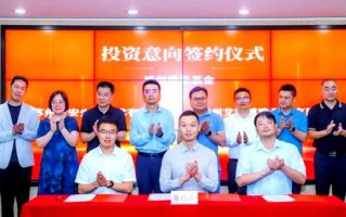 上海浦创投资有限公司是做什么的？