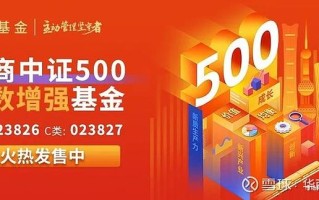 中证联投资基金管理有何独特优势？