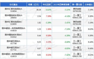 鹏华行业成长混合基金表现如何？