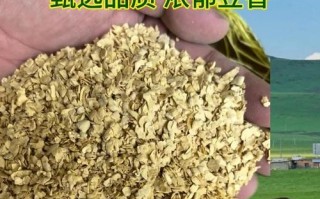 豆粕期货一手是多少钱