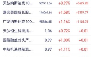 530003基金今日净值是多少？