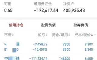 天天基金网每日净值162201是什么？