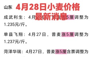 cbot小麦期货价格走势如何？