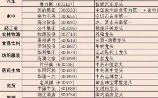 国内的股指期货有哪些