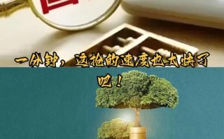 手机投资国债理财公司靠谱吗？