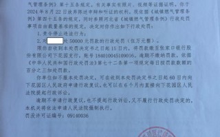 新湖期货因何受罚？处罚详情如何？