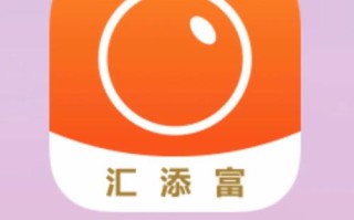 汇添富移动互联基金业绩如何？