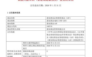 基金暂停定投，我的钱该怎么办？