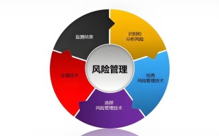 高风险投资与理财管理