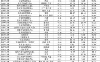 2025基金收益哪家强？