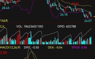 期货黑色系品种具体包含哪些？