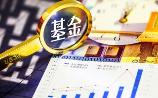 两者有何核心区别与投资价值？