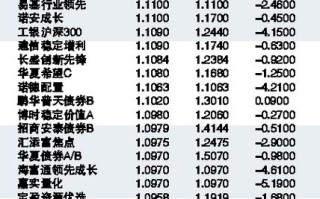 天天基金网每日净值怎么查？