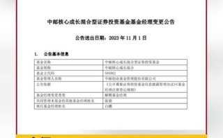 中邮成长基金590002查询