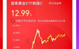 国金基金众赢风险大吗？