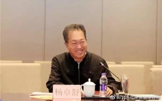 石家庄卓达投资崩盘原因是什么？