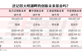 蚂蚁配售基金收益哪家强？