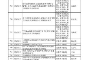 国家自然科学基金项目怎么查？