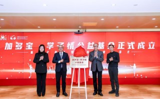 小型基金会成立条件有哪些？