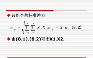 两种投资组合如何比标准差？