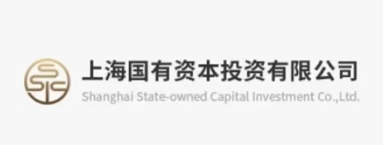 上海长江国弘投资管理有限公司有何业务或背景?-第3张图片-华宇铭诚 上海长江国弘投资管理有限公司有何业务或背景?-第3张图片-华宇铭诚