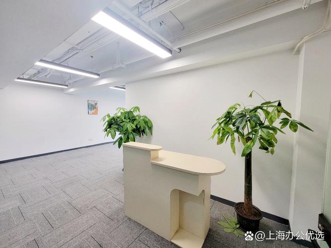 上海少薮派投资管理有限公司有何投资特色？-第2张图片-华宇铭诚