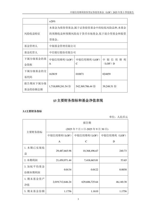 2025年证券投资基金PDF有何新变化？-第1张图片-华宇铭诚