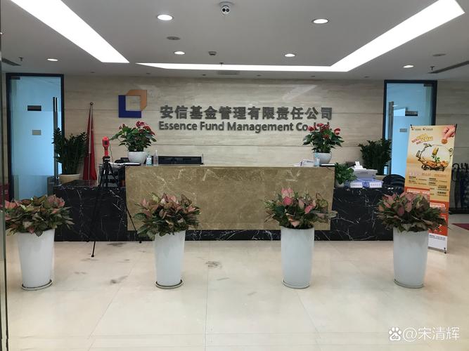 上海同安投资管理有限公司靠什么立足？-第2张图片-华宇铭诚