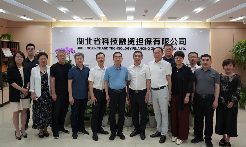 中担投资信用担保有限公司风险如何？-第3张图片-华宇铭诚