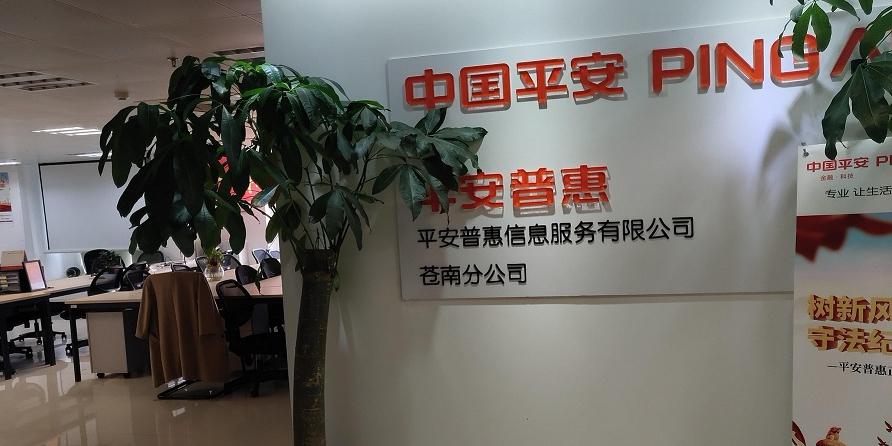 平安普惠投资咨询有限公司有何业务优势？-第1张图片-华宇铭诚