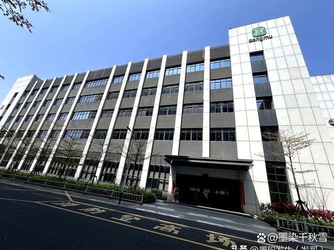 深圳思道科投资有限公司怎么样？-第3张图片-华宇铭诚