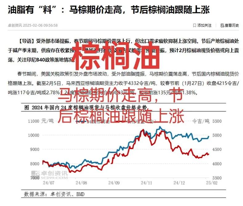 棕榈油期货为何连续两度提及?-第1张图片-华宇铭诚 棕榈油期货为何连续两度提及?-第1张图片-华宇铭诚