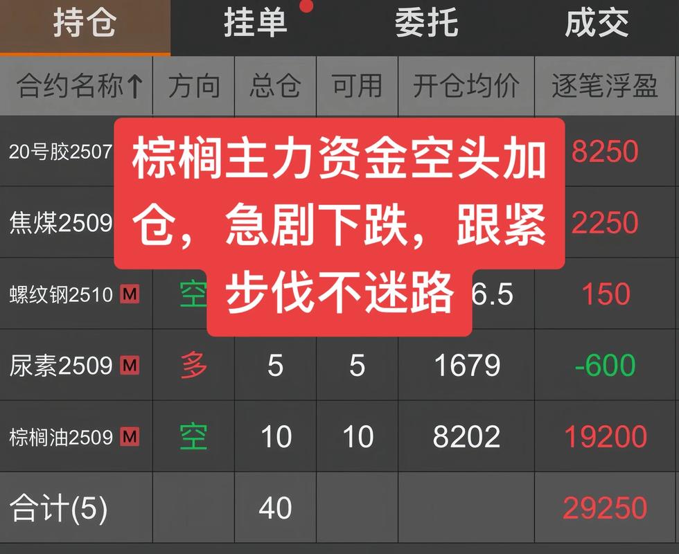 棕榈油期货为何连续两度提及？-第3张图片-华宇铭诚