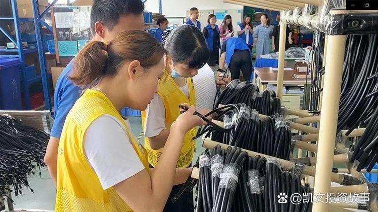 10万元创业项目，选什么能稳赚不赔？-第2张图片-华宇铭诚