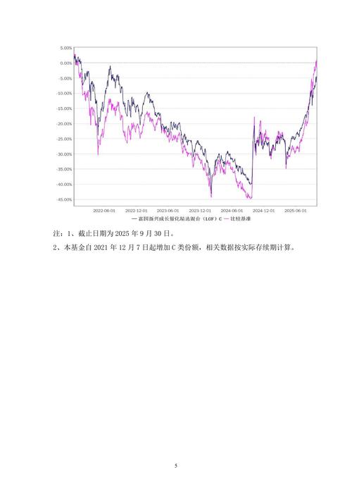 长盛新兴成长混合基金净值今日多少？-第3张图片-华宇铭诚