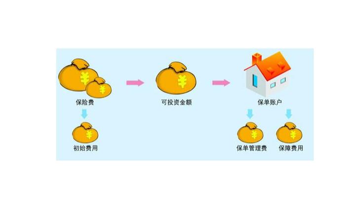 投资连接保险中的核心风险是什么?-第1张图片-华宇铭诚 投资连接保险中的核心风险是什么?-第1张图片-华宇铭诚