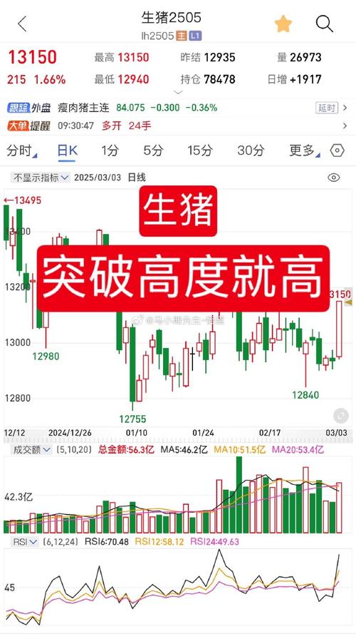 shengzhu期货是什么？有何投资价值？-第1张图片-华宇铭诚